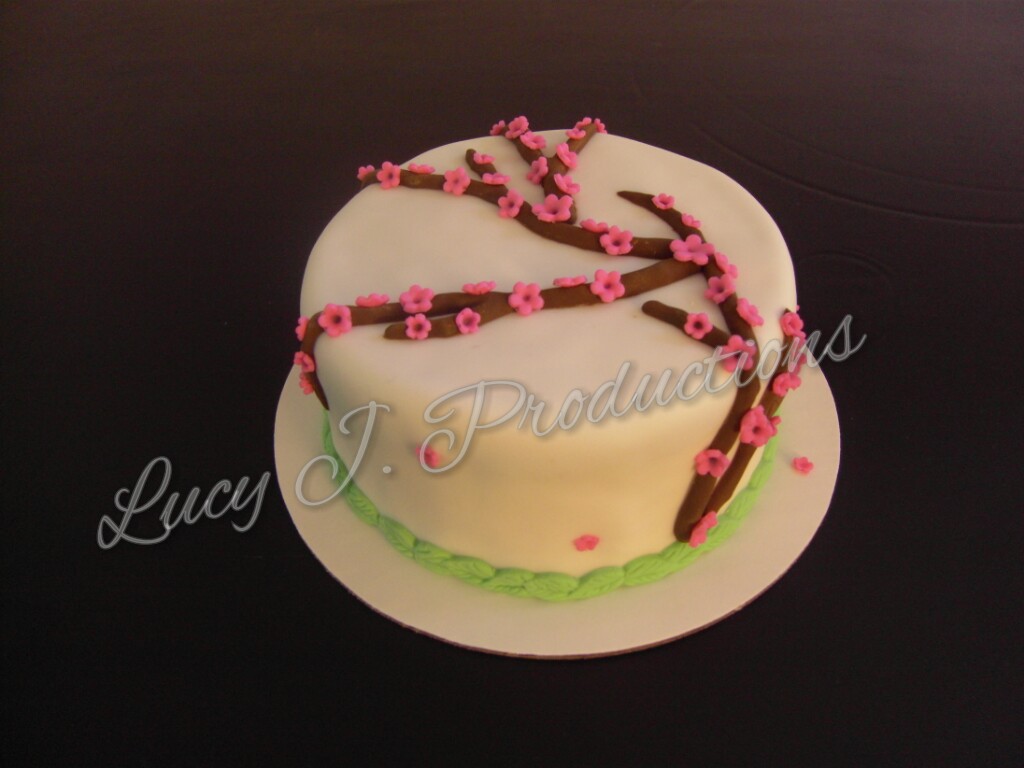 SAMSUNG DIGITAL CAMERA